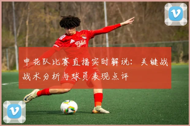 申花队比赛直播实时解说：关键战战术分析与球员表现点评